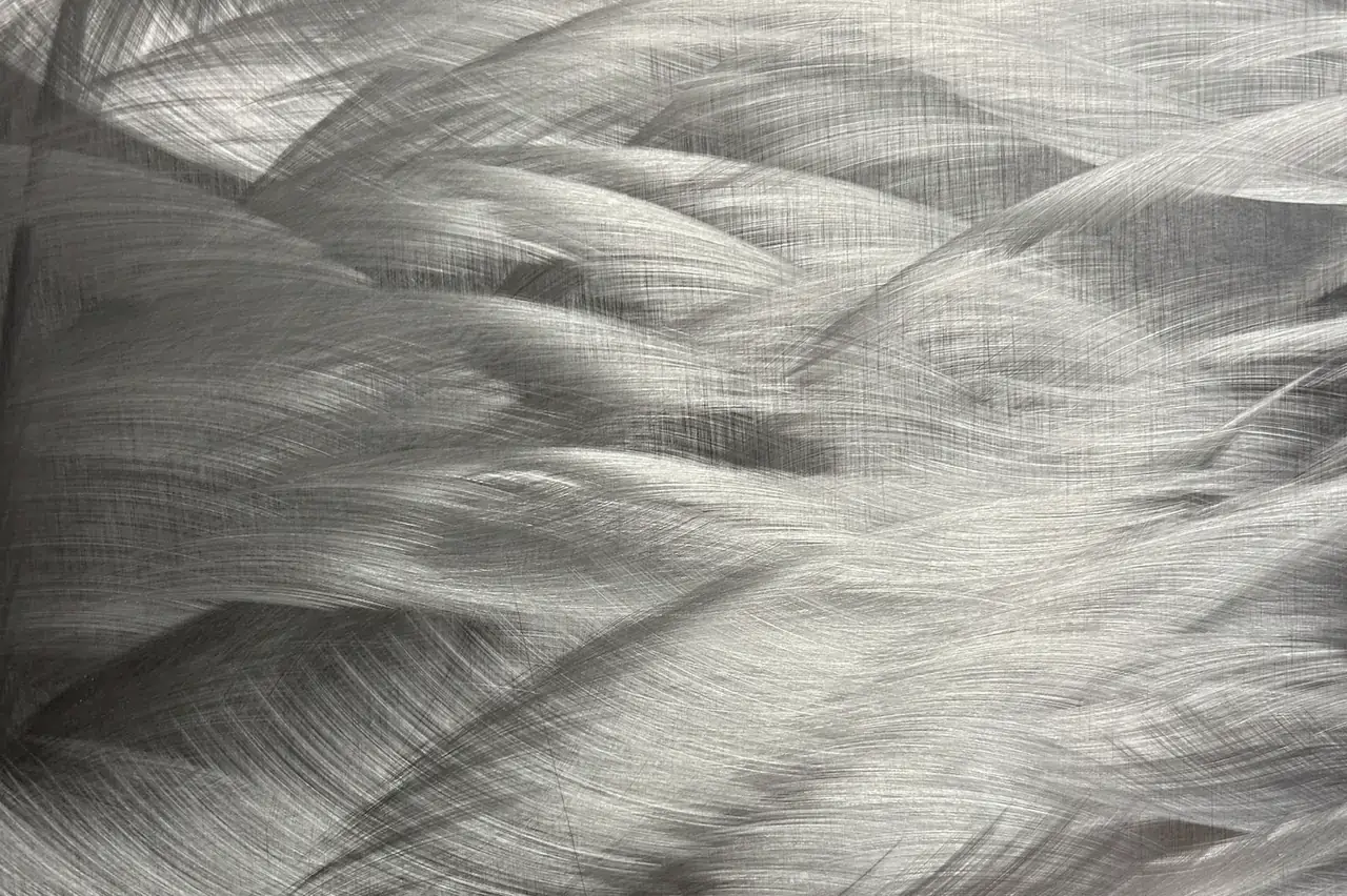 Embossed metallic sheet with a feather-like raised pattern